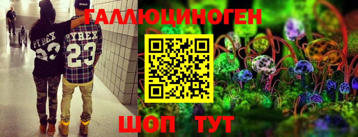 купить  сайты  Галлюциногенные грибы Magic Shrooms  Вход с VPN  Нальчик 